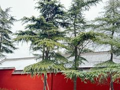 -洛阳白马寺