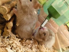 -龙猫仔乐园(惠福东路店)