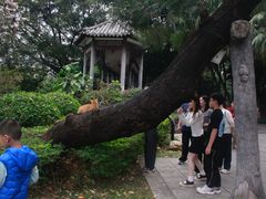 -荔湾湖公园