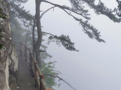 -西安祥峪森林公园