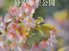 -静安雕塑公园