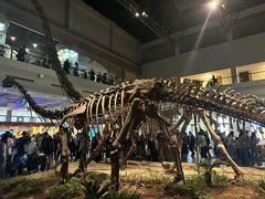 -自贡恐龙博物馆