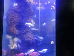 -南昌海洋公园