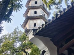 -江心屿景区