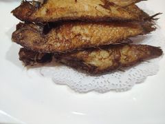 香煎英哥鱼-金穗园·砂锅粥.醉鸡煲火锅(长寿路店)