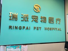-瑞派宠物医院(搏威敦和院)