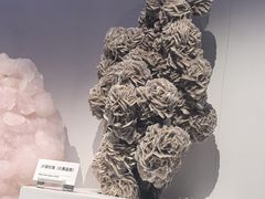 -重庆自然博物馆(新馆)
