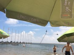 -碧海金沙