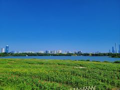 -海珠湖公园