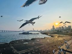 -星海广场