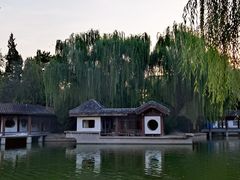 -团结湖公园