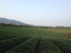 -敬亭山风景名胜区