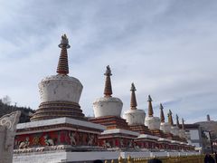 -塔尔寺
