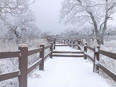 -凤凰山国家森林公园