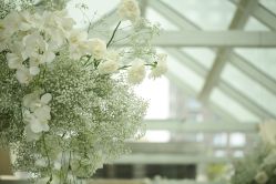 -重庆江北希尔顿逸林酒店·宴会厅