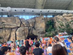 -杭州开元森泊度假乐园