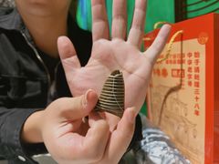 -绿波廊(豫园店)