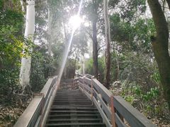 -水濂山森林公园