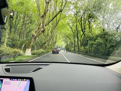 -野蔓果·山野菜(西湖景区·龙井茶田店)