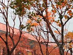 -杭州湖滨in77