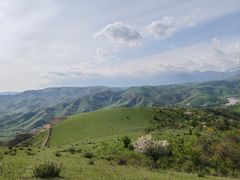 -中华福寿山