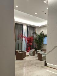 -深圳美莱医疗美容医院