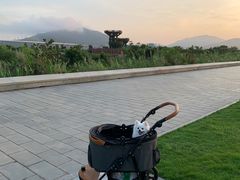 -芒洲湿地公园