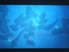 -中影国际影城(昆山花园城CINITY LED店)