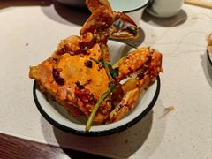 -1937青岛老味道·海肠捞饭·青岛菜(大鲍岛栈桥店)