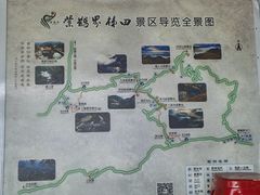 -紫鹊界梯田景区
