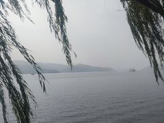 -天乐农家鱼头王(天目湖店)