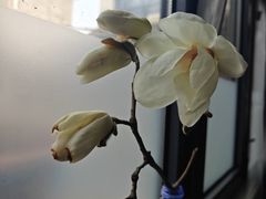 -潇湘阁(尚都SOHO店)