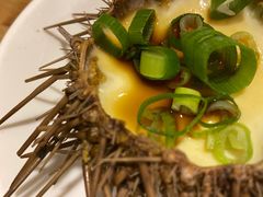 -海胆小馆(东北水饺·春柳店)