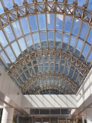 -上海交通大学医学院附属上海儿童医学中心(陆家嘴总院区)