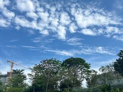 -广州市白云区图书馆