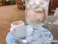 -Fern Forest Cafe