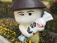 -上海都市菜园