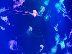 -成都浩海立方海洋公园