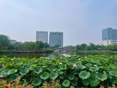 -西海子公园