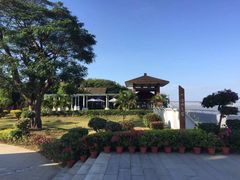 -大湾区中央湿地公园