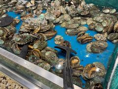 -初色海鲜自助(万丰路店)
