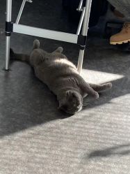 -飛凡TATTOO纹身•原创