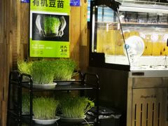 -洪氏嗨捞·广东猪肚鸡·椰子鸡火锅(西咸万象城店)
