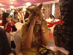 -金庭庄园酒店彩虹厅