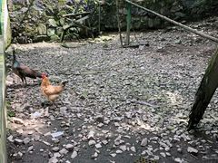 -藏龙百瀑风景区