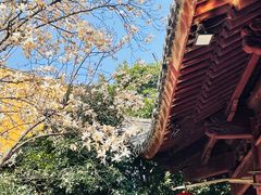 -龙华寺