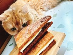 真豆拿破仑-OUR Bakery(SKP-S店)