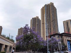 -重庆彩云湖湿地公园