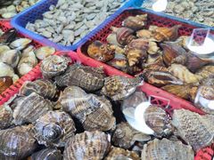 -北海港酒楼 海鲜代加工 粤菜(淡村商贸城店)