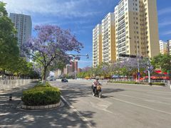 -云平风味园(护国路店)
